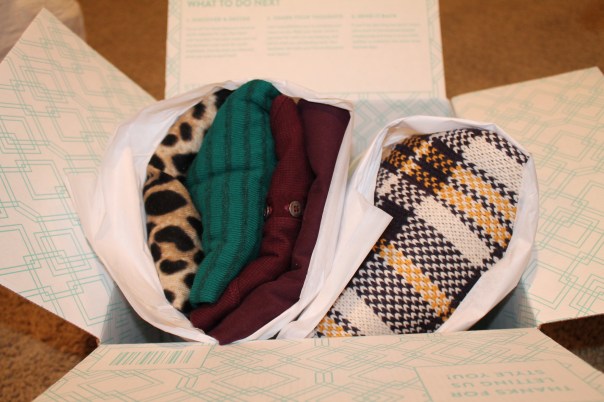 Stitch Fix Review November 2014