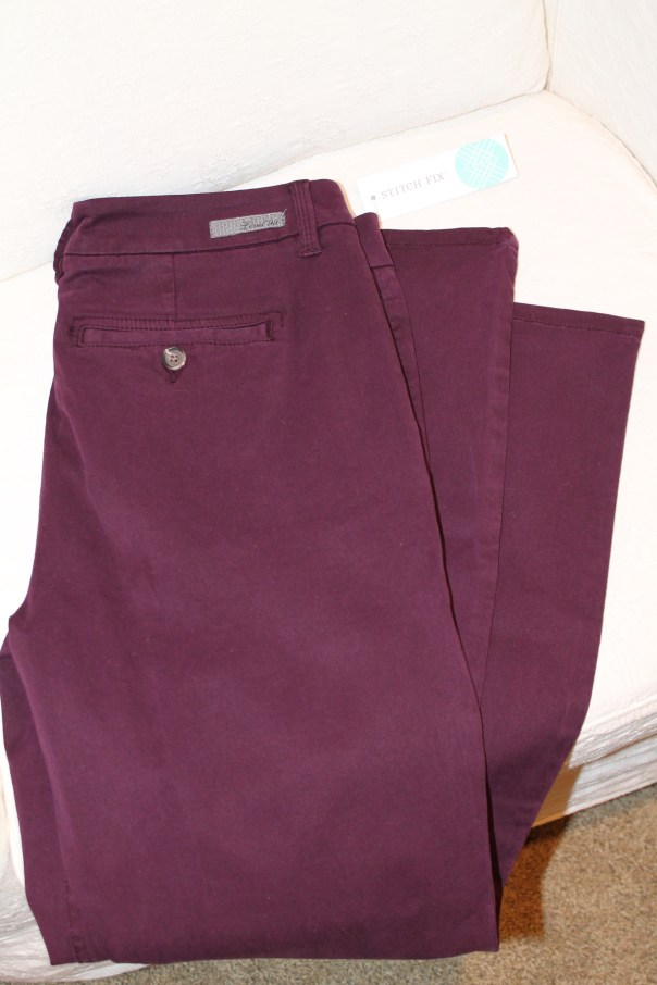 Stitch Fix Review November 2014