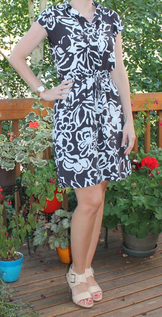 Loft Painterly Dress